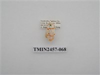 藏品(二斑叉紋苔蛾)的圖片